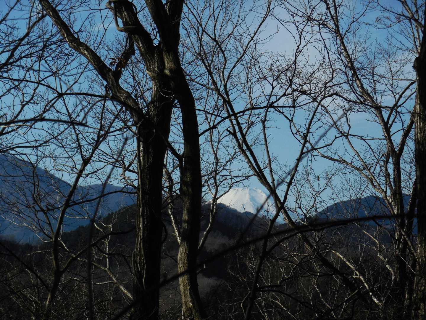 でもついつい見入ってしまう😍