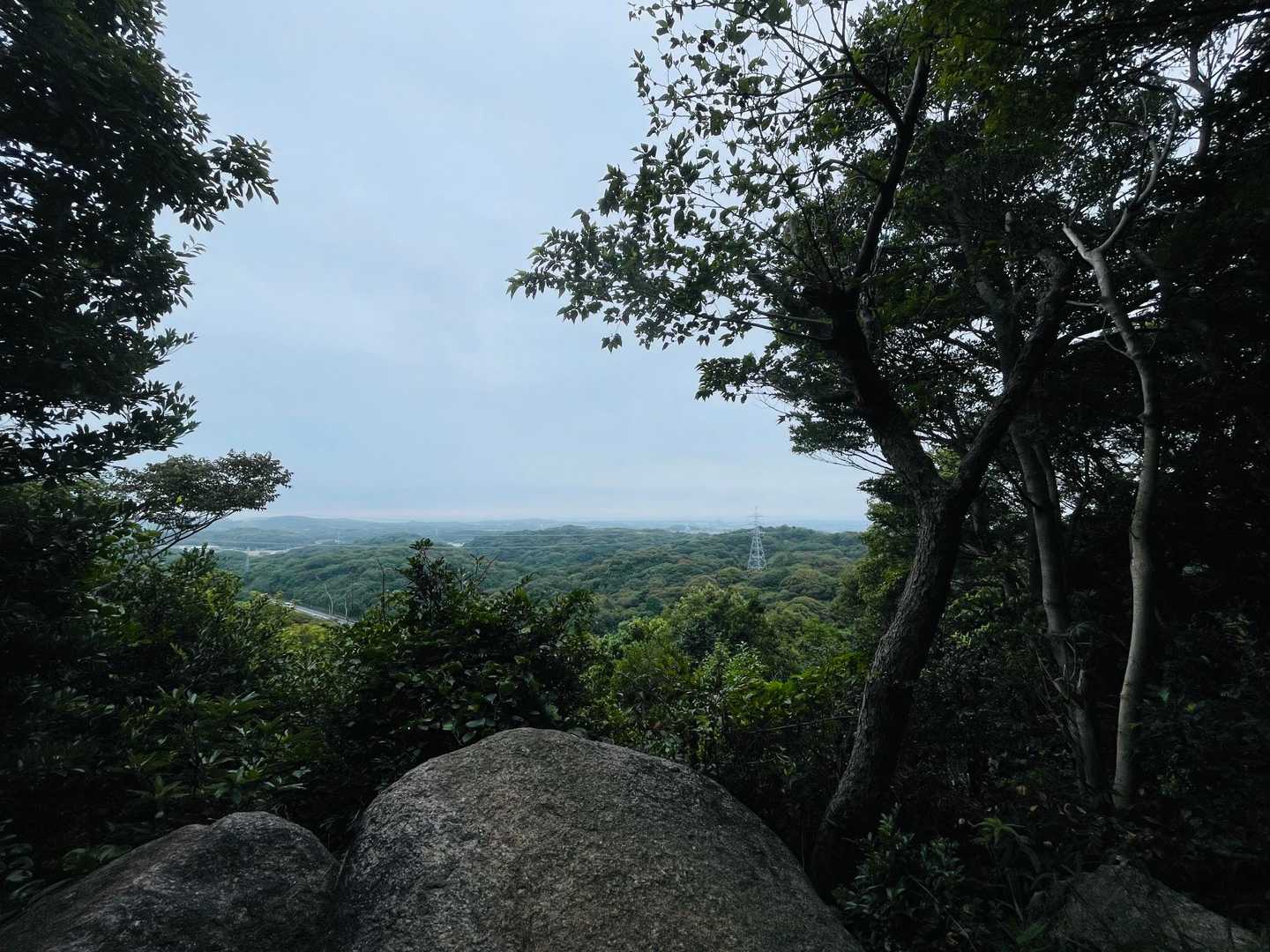 男山 往復コースの写真