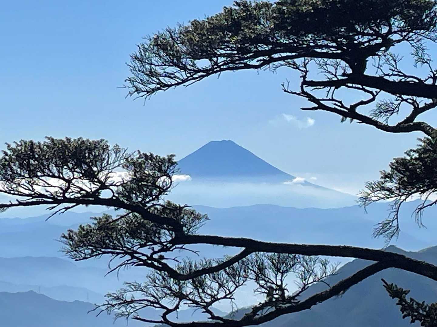 松の間から。