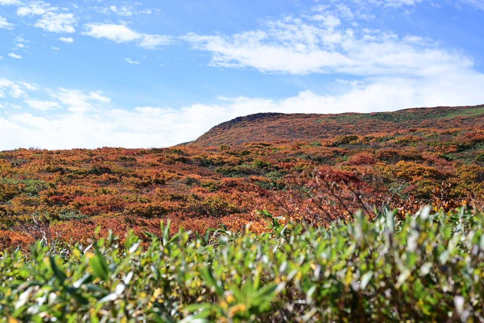 紅い山肌✨
燃えるような紅葉🍁