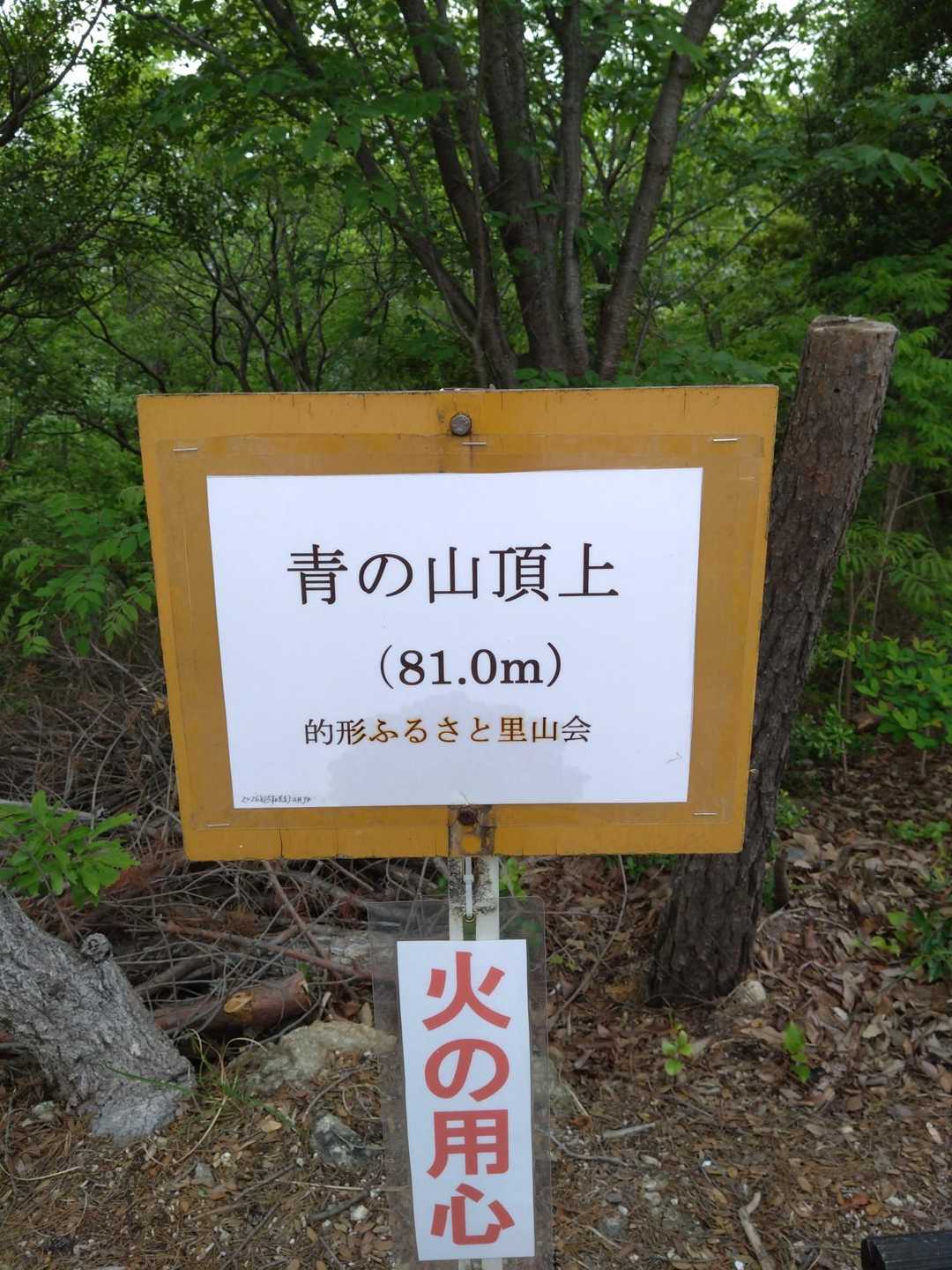 青の山🏕️81.0mに到着🏕️