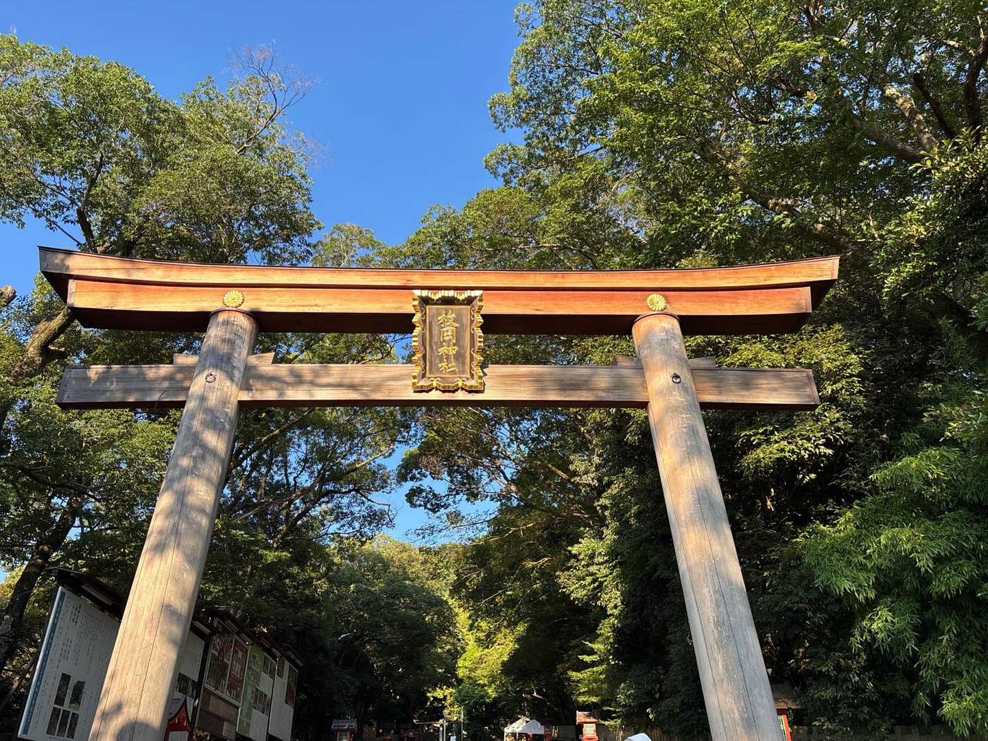 枚岡神社⛩️集合
説明を受けて
（腕につける虫除けリングと光るやつもらいました）
軽く運動💪
スタートです😆