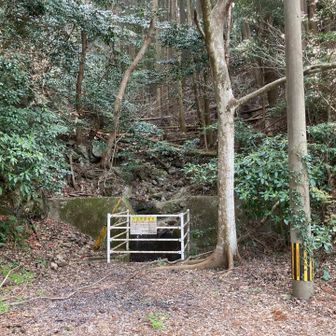 ここが『よっちゃん道』