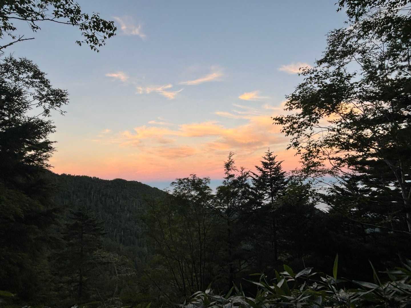 朝です〜