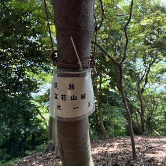 大一足、広場となっいます。