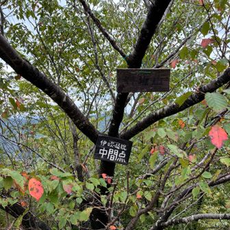 やっと中間地点❓冗談でしょ…🤮