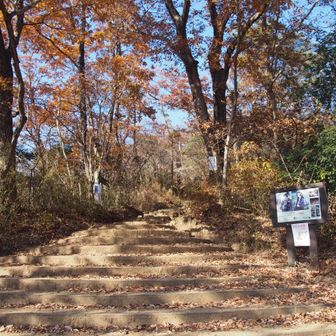 さくらもここの岩山が大得意でした
