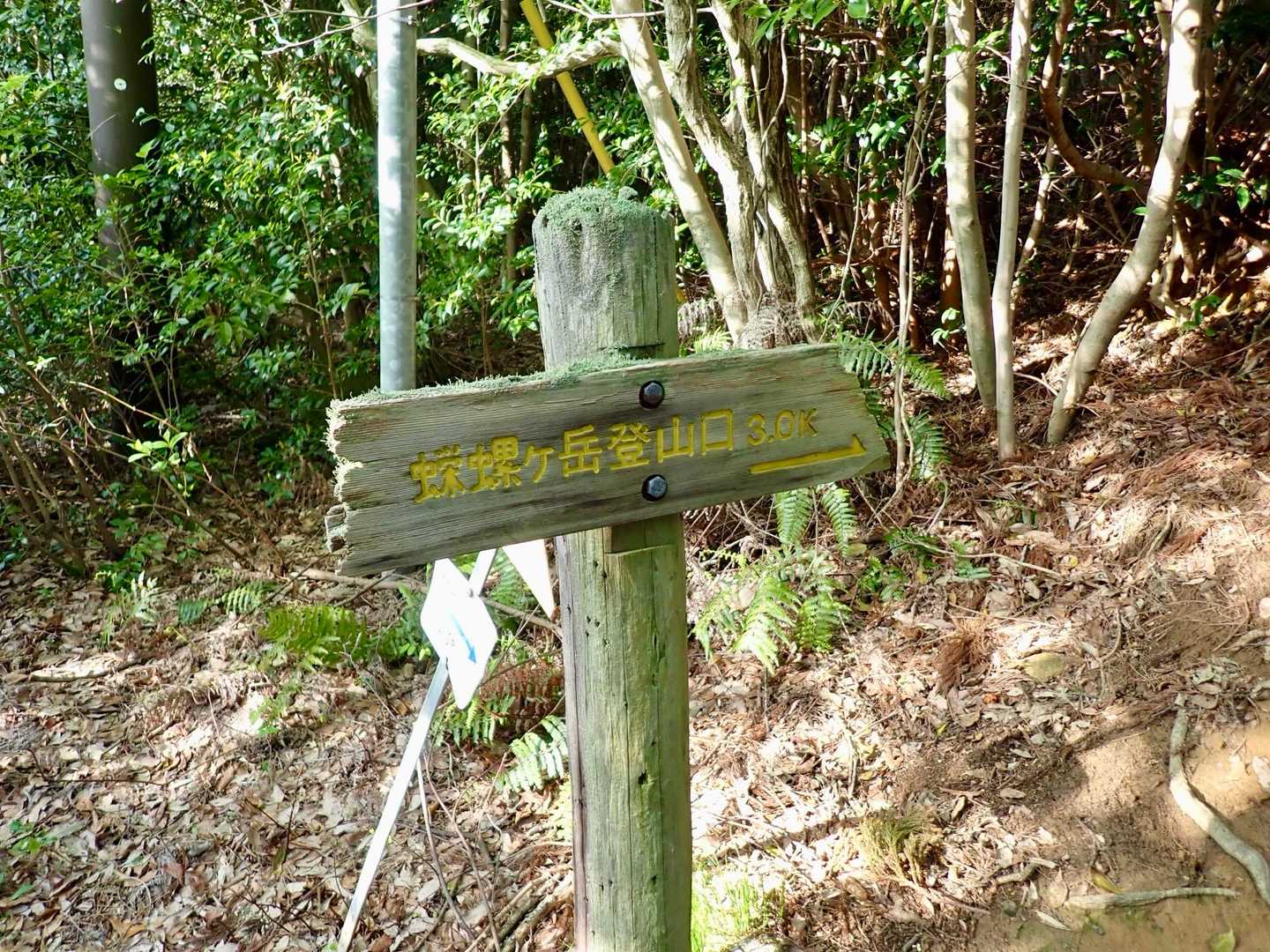 「さざえがたけ」を目指します。
ということは…
河豚田蠑螺がサザエさんの正しい名前の表記ということになるのかな？
