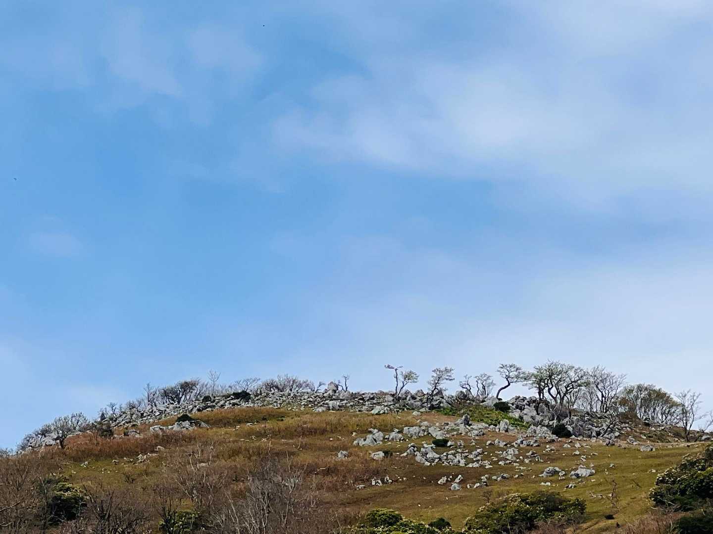  
               独特なカレンフェルトの大地