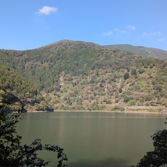 ちょっと…進みます