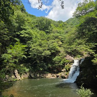 ひんやりとして心地よい