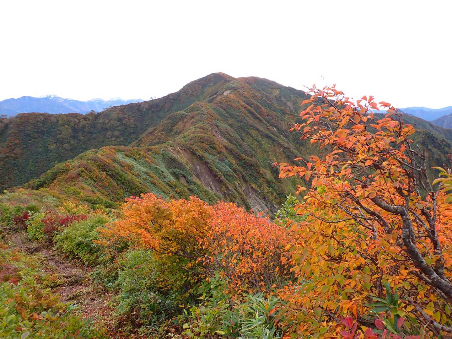 駒ヶ岳！
紅葉ピーク！！
最高の日に来られた。
