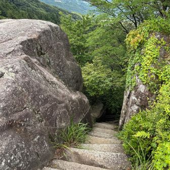 振り返っての