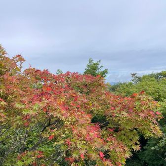 秋の気配🤗