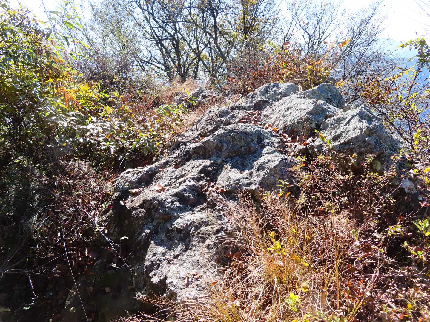 高津屋山のすぐ先の岩場の小ピークで視界が開けます