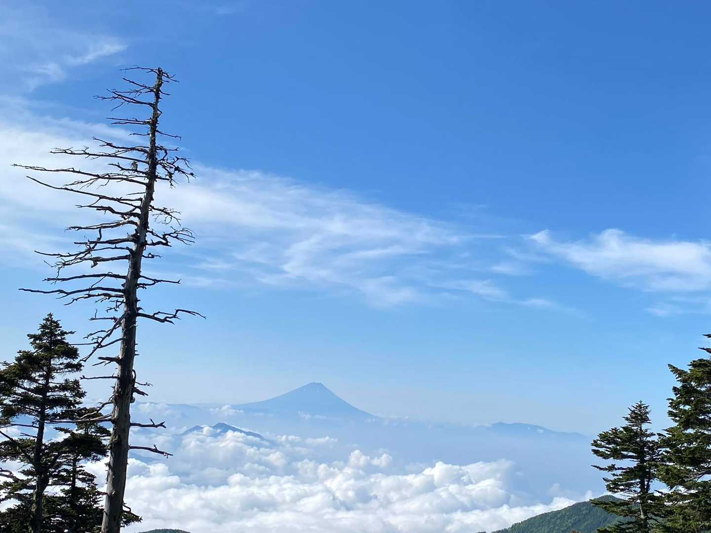 うわあ富士山だ🗻🙌🇯🇵
♪頭を雲の〜上に出し〜日本の山を見下ろして〜　♪が脳内に駆け巡った😊
