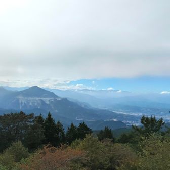 展望台から