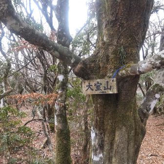 行きに撮り忘れた看板