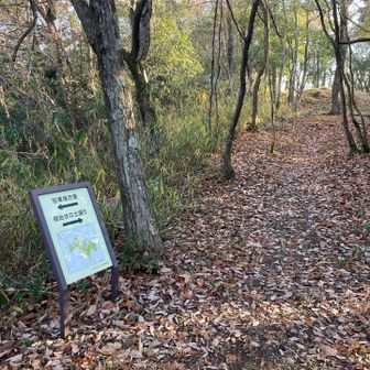 歩きやすい道が続く