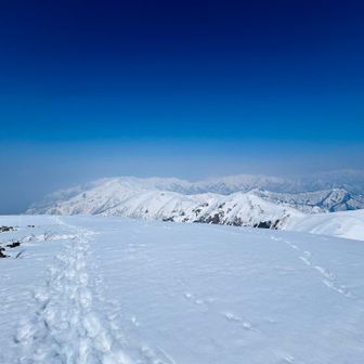 ほら、上越国境稜線に行った人のトレースがいっぱい！