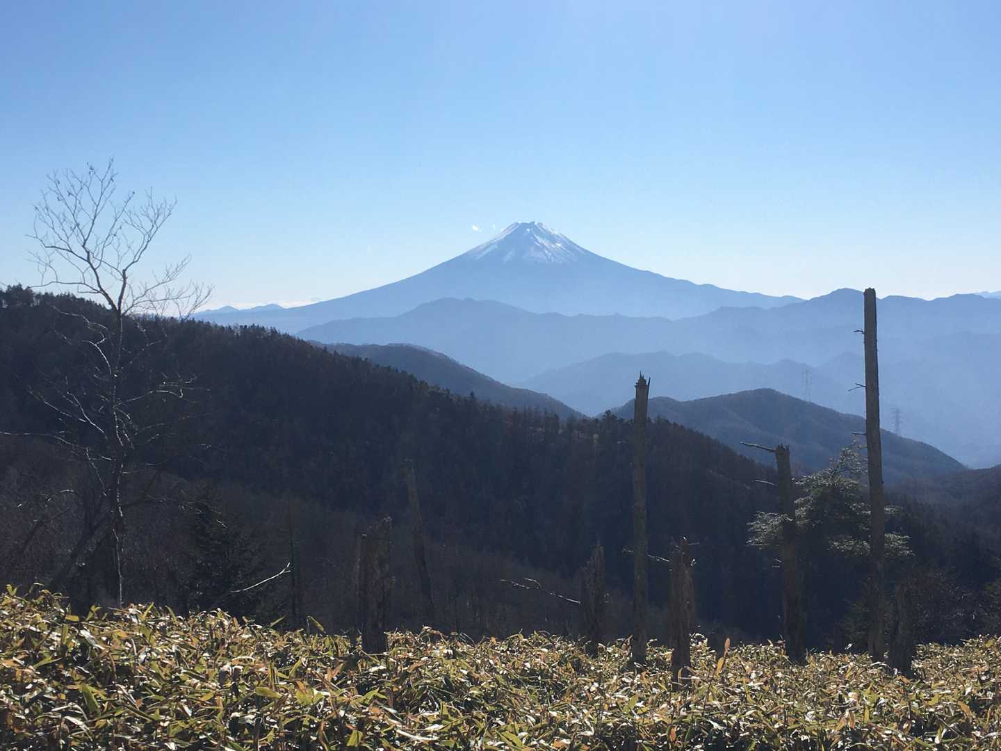 すずらん昆虫館前バス停-牛奥ノ雁ヶ腹摺山-小金沢山-天狗棚 縦走コースの写真