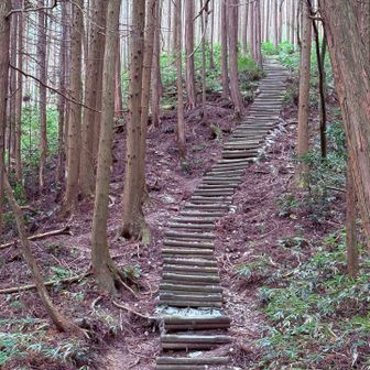降りてきて振り向くと！おぉ❗️この階段・・