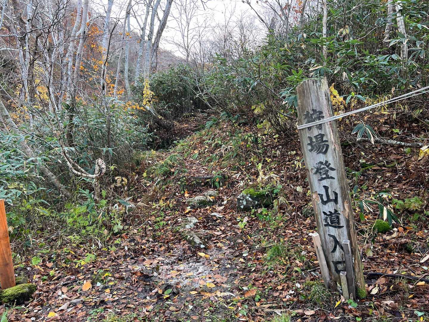 行ってきま〜す٩(ˊᗜˋ*)و