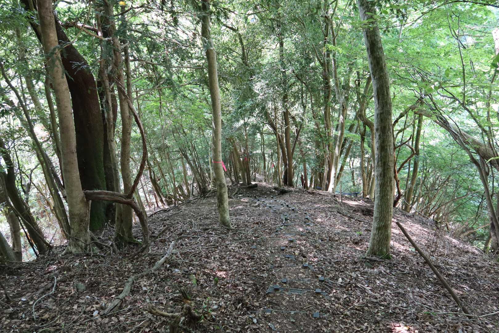 写真では伝わり難いですが、超急斜面なので慎重に下りました