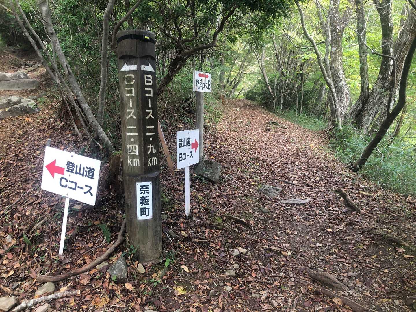 今日はBコースから登る