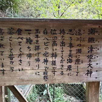 ご祭神である瀬織津姫大神とは
神道の祭祀で唱えられる神様
川に坐す水の神
すべての罪を海へ流す役割を持つ神