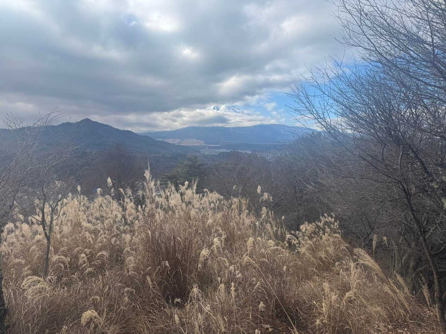 三つ峠駅-倉見山-寿駅 縦走コースの写真