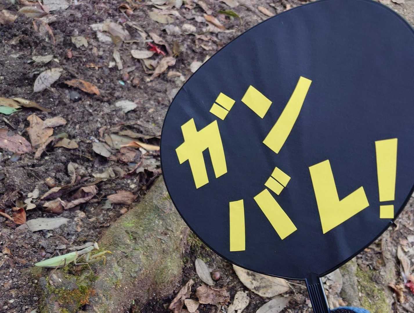 このうちわでたくさんの人を見送りました