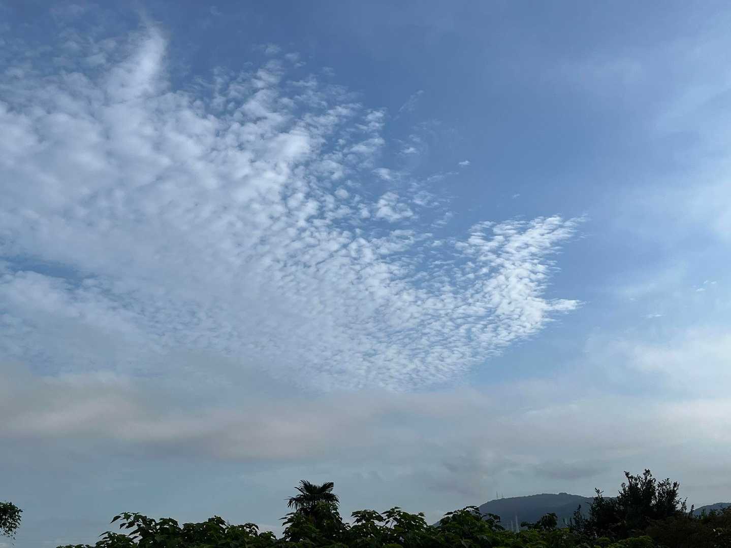 秋の雲って感じやね〜
今日も頑張ろ！