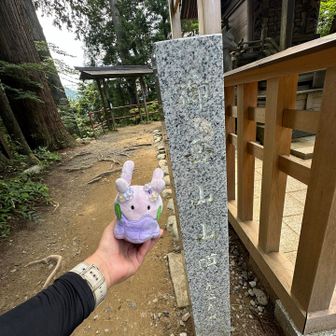 御嶽神社の裏にある山頂標識にて。