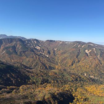 左奥にトムラウシ、中央には化雲岳。
黄色い紅葉がパッチワークのように広がる。