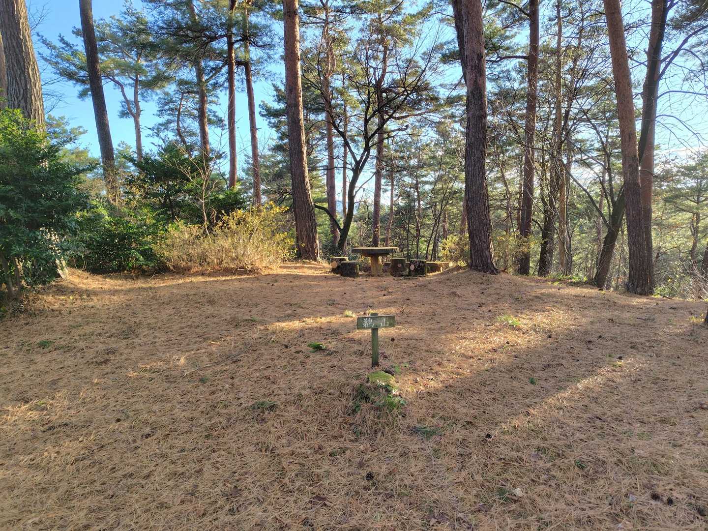 鵜山山頂