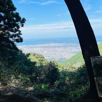 山頂からの視界確保でメチャメチャ伐採しているけど法的に大丈夫？