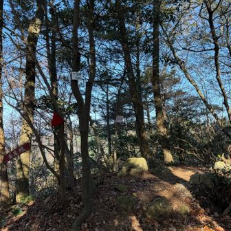 十字峰
西尾根に下りていきます