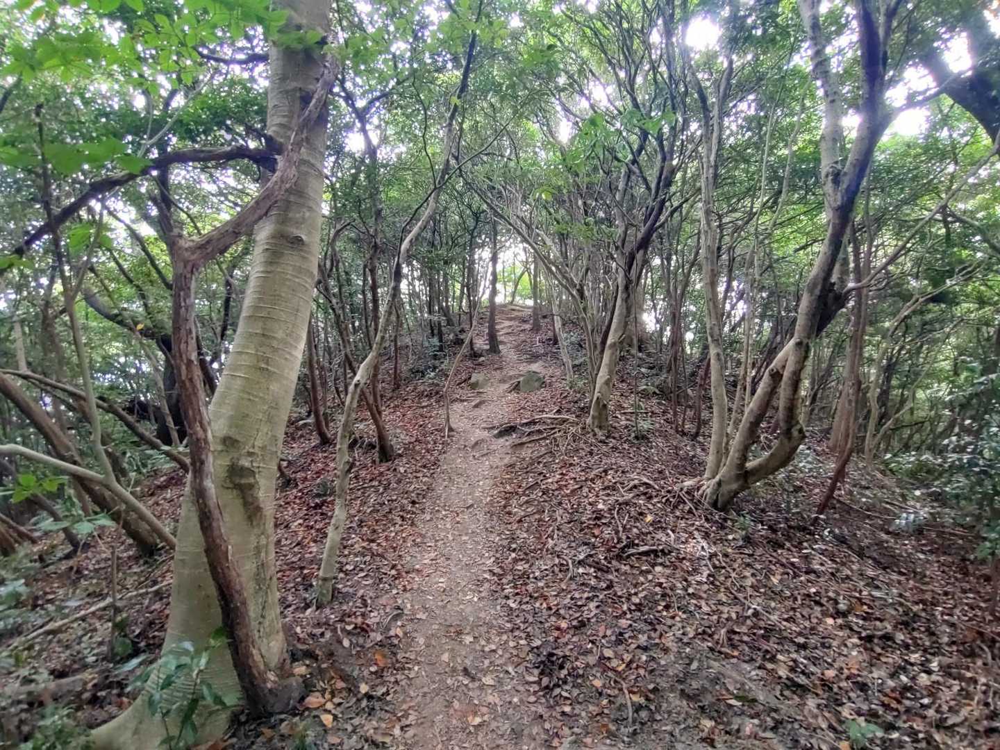しばし休憩してから戻る
