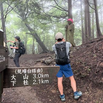 ここから平らなところはほぼなく、上がっていきます
呼吸ひとつ乱さず、まあみんなよく喋る喋る😅