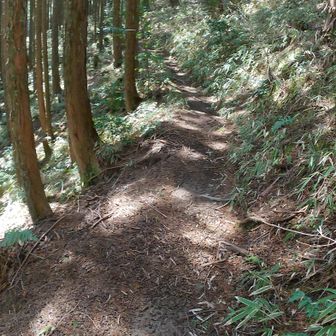 歩きやすくなった