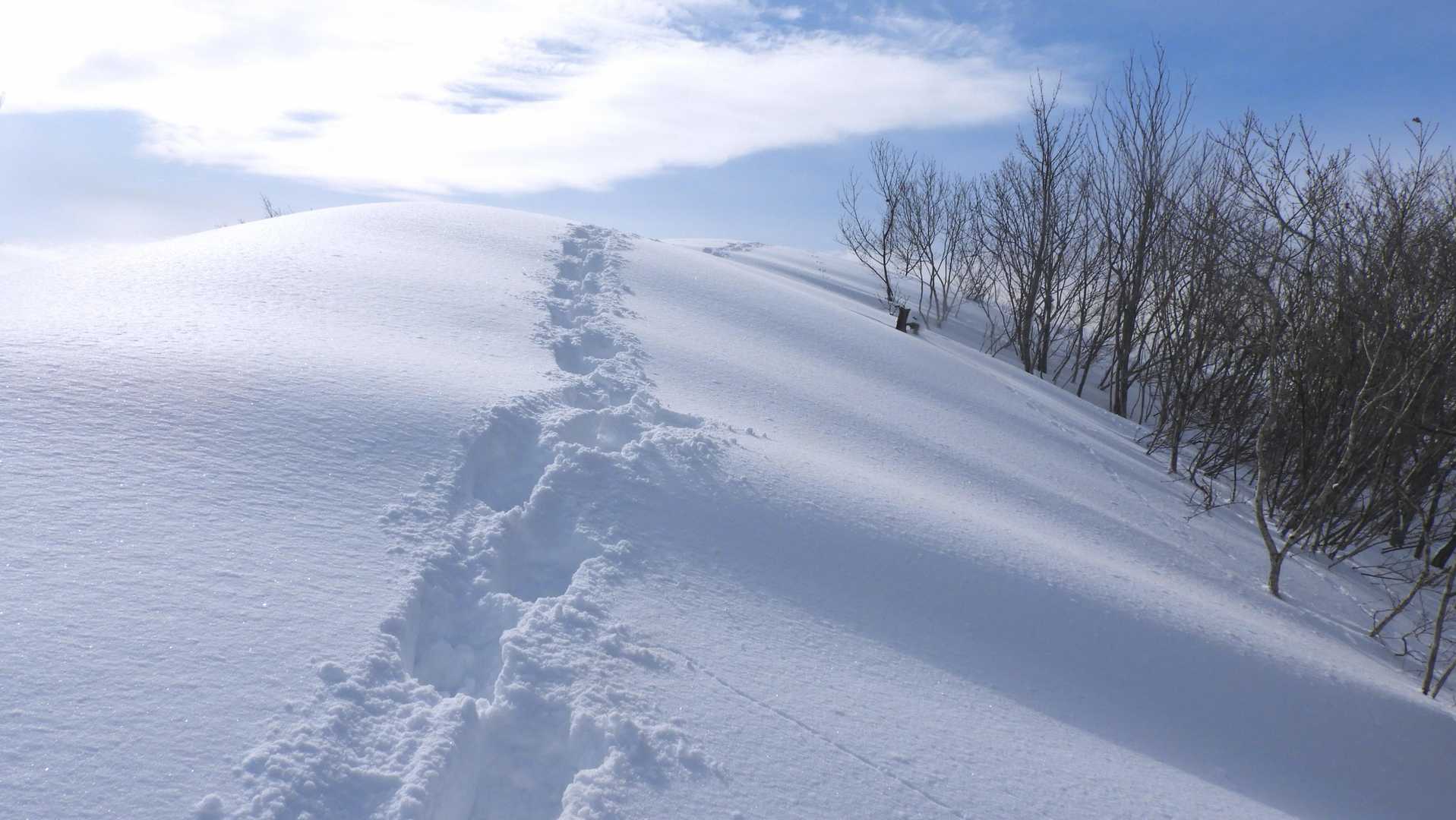 なでらスカイツリーへ