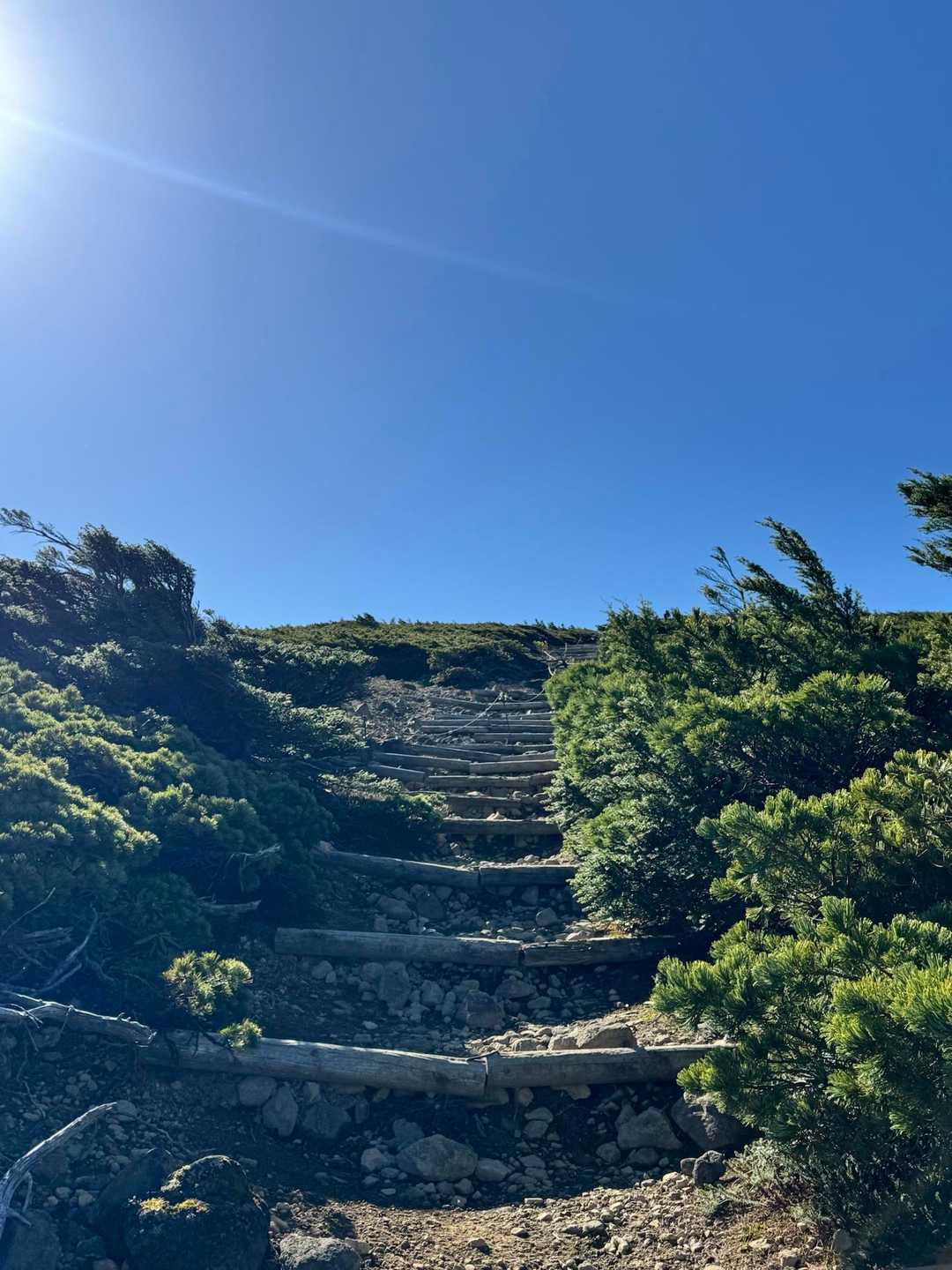 もうすぐ東吾妻山山頂…
青空に向かって、まさにヴィクトリーロード✨