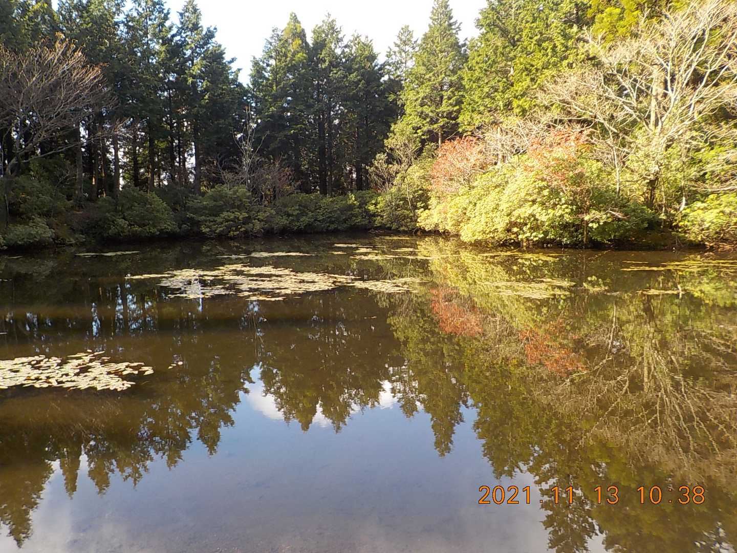 水舟の池に着きました
