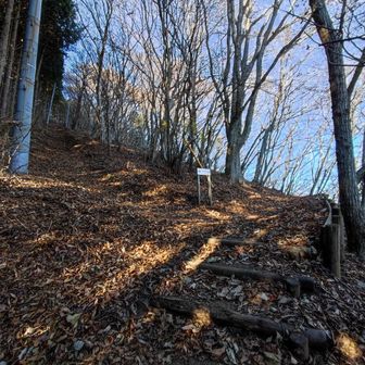 コースは右ですが　左へ登る方へ寄り道します