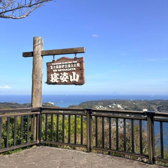 とりあえず写真