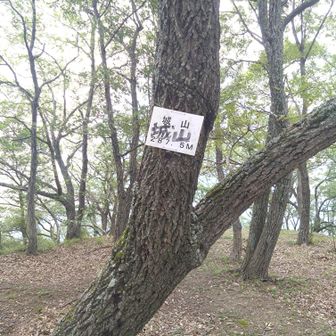 急登頑張り　城山到着