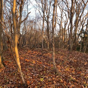 山頂は、特に何もなかった。