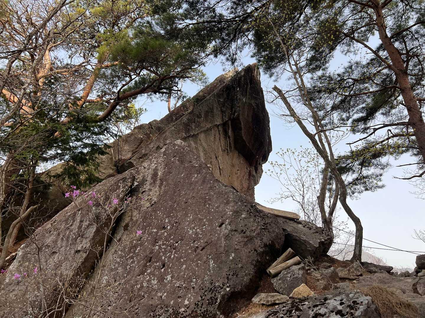 太刀岡山-越道峠-鬼頬山-黒富士-升形山-八丁峠-曲岳-曲 縦走コースの写真