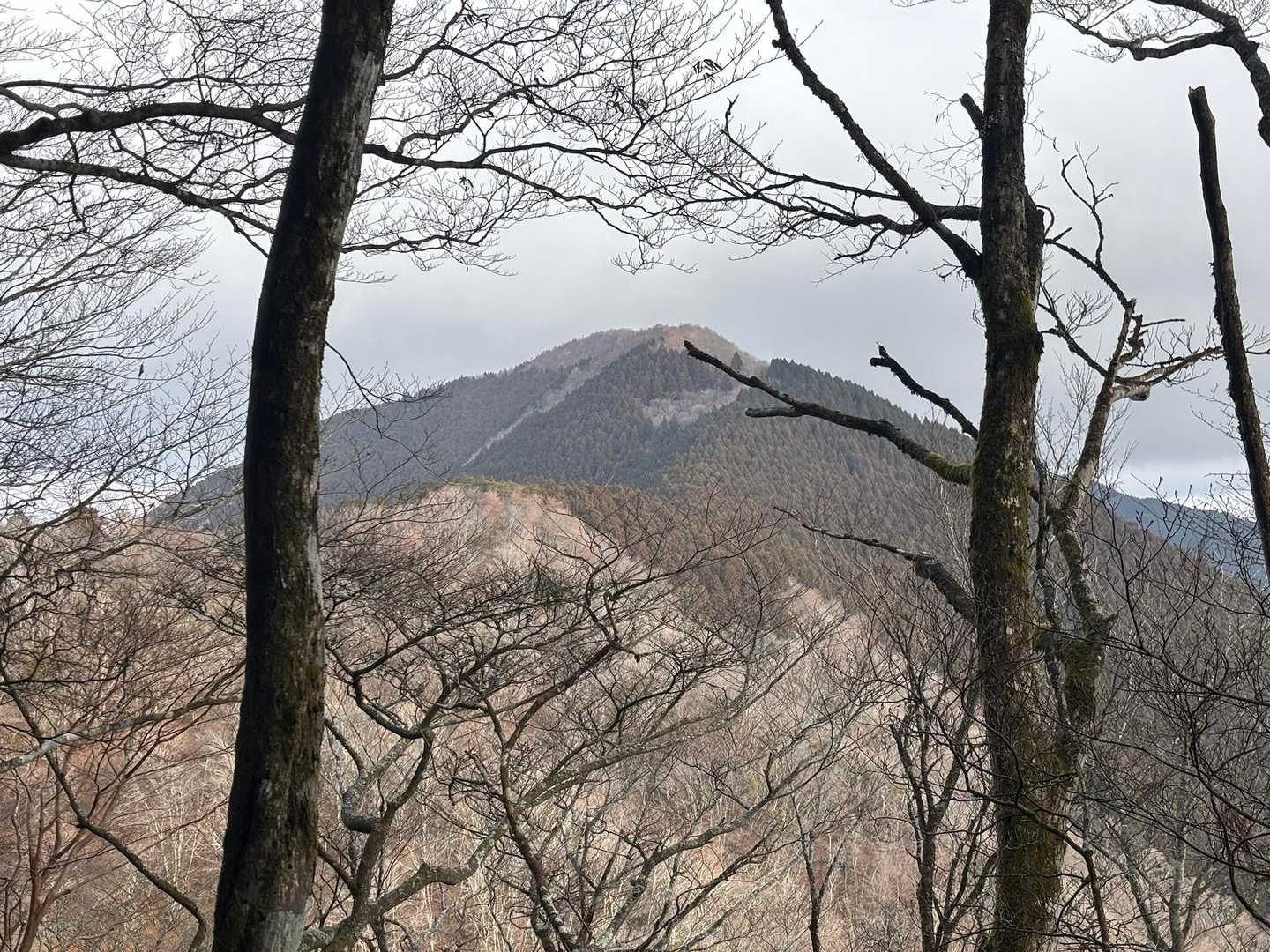 真富士山 往復コースの写真
